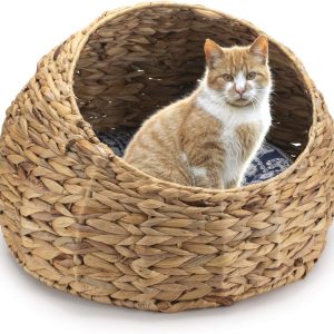 import placeholder for 10427300